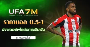 ราคาบอล 0.5-1